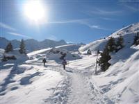 Arosa